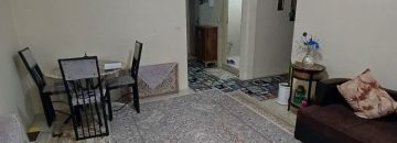 خرید کیسون پرند