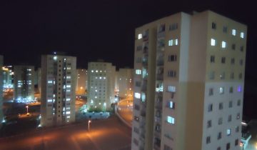 کوزو شش پرند